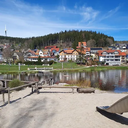 Appartement Haus Schanzenblick Fewo1 Mit 2 Schlafzimmern, Wohnzimmer, Terrasse, Bad Im Herzen Des Schwarzwaldes Schonach im Schwarzwald